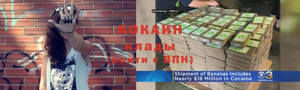 спиды Алзамай