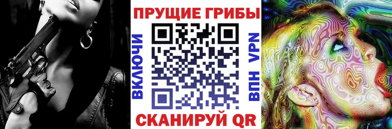 сколько стоит  Кольчугино  Псилоцибиновые грибы прущие грибы 