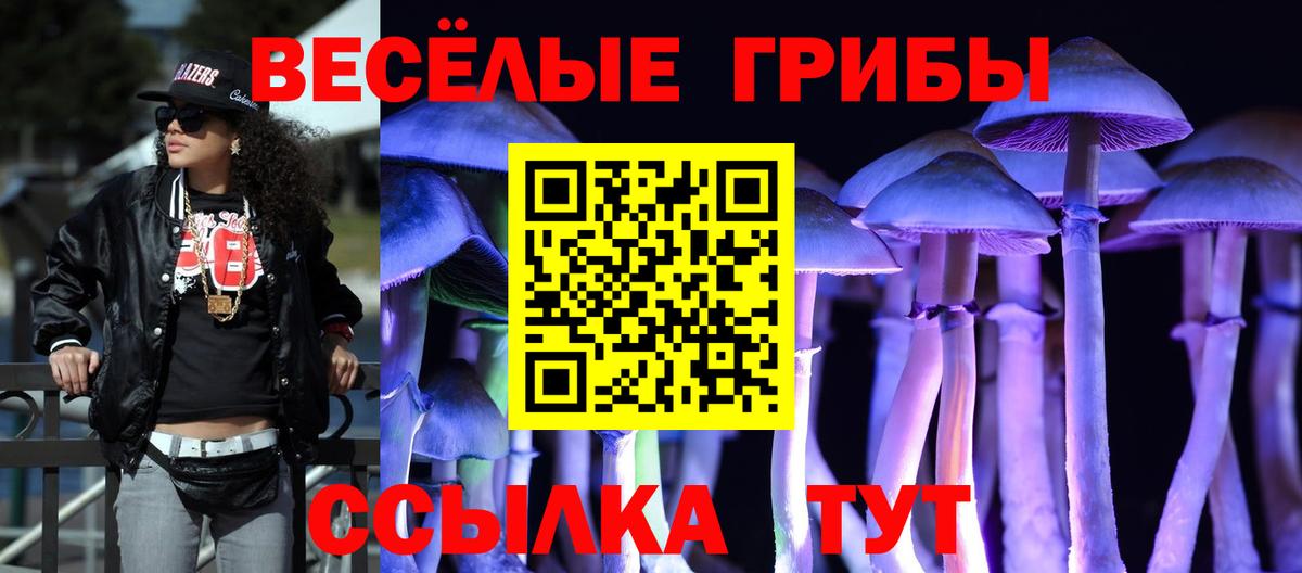 Псилоцибиновые грибы Psilocybine cubensis Кольчугино