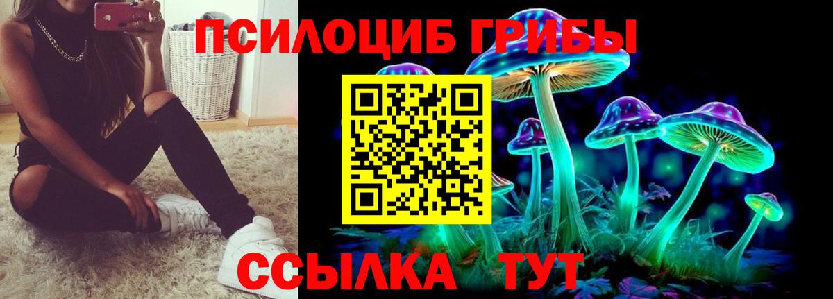 как найти наркотики  Галлюциногенные грибы мухоморы  Вход с VPN  Кольчугино 